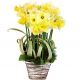 Send Jardin-Special-Grand-mothers-Day to Luxembourg