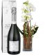 Send Magic-orchid-with-vase-and-Prosecco-Albino-Armani-DOC-75cl to Liechtenstein