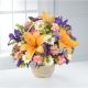 Send Natural-Wonders to Antigua and Barbuda