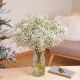 Send Paniculata-bunch to Spain