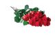 Send Red-Roses to Jamaica