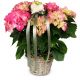 Send Romantic-Vintage-pink-hydrangea to Liechtenstein