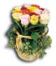 Send Roses-Myrte to Luxembourg