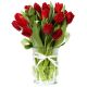 Spring Love