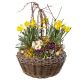 Send Spring-Paradise-outdoor-plants to Liechtenstein
