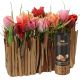 Send Stylish-Miniature-Tulip-Garden-with-Gottlieber-cocoa-almonds to Switzerland