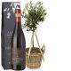 Send Summer-Dream-miniature-olive-tree-with-Amarone-Albino-Armani-DOCG-75cl to Switzerland