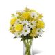 Send Sunny-Sentiments-Min to Argentina