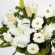 Send Sympathy-Arrangement-Max to Indonesia