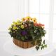 The FTD Gentle Blossoms Basket-Min