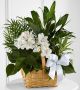 Send The-FTD-Peace-And-Serenity-Dishgarden-Min to Honduras