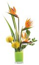 Send Tropical-Arrangement to Jamaica
