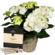 Send Vintage-Charm-white-hydrangea-with-Gottlieber-Hppen-Special-Edition-for-Fleurop to Switzerland