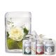 Send Warm-Greetings-including-vase-with-Gottlieber-tea-gift-set to Liechtenstein