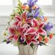 Send Wondrous-Nature to Antigua and Barbuda