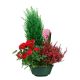 Send arrangement-of-green-and-blooming-plants to Luxembourg