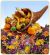 Send Seasonal-Thanksgiving-Bouquet to Benin