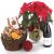 Send Poinsettia-Plant-red-wine-and-Basket-with-Sweets to Hungary