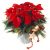 Send Christmas-Star to Armenia