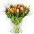 Send Multi-tulipa to Belgium
