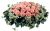 Send Arrangement-of-Pink-Roses to Russia