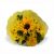 Send Yellow-Bunch-SML to Lesotho