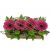 Send Gerberas-in-Box to Lesotho