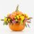 Send Pumpkin-Burger to Hungary