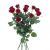 Send Roses-Without-vase to Sweden