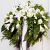 Send White-Funeral-Wreath-Min to Hungary