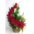 Send Spiral-Premium to Antigua and Barbuda