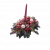 Send Christmas-log to Belgium