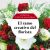 Send Christmas-florists-bouquet-in-red-tones to Spain