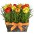 Send Happy-tulip-meadow to Austria