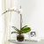 Send White-Orchid-Planter to Brazil