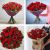Send Valentines-24-Red-Rose-Hand-tied to Gibraltar