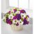 Send Blooming-Bounty-Bouquet-Basket-included to Costa Rica