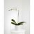 Send White-Orchid-Planter to Panama