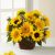 Send The-FTD-Perfect-Sun-Bouquet to Bolivia