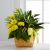 Send The-FTD-Loving-Light-Dishgarden-Min to El Salvador