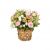 Send Delicate-Carnations to Australia