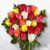 Send 24-Mixed-Roses-Bunch to Malawi