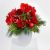 Send Christmas-message to Czech Republic