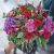 Spectacular Classic Christmas Bouquet.-Min