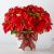Send Holiday-Poinsettia to Mexico