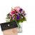 Send Spring-Princess-with-Munz-bar-of-chocolate-Heart to Switzerland