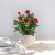 Rosal Rojo