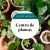 Send Florist-Choice-Basket-of-Plants to Portugal
