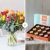 Send Tulips-Bouquet-and-Chocolate to Spain