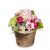 send Sweet-Spring-Basket-Mid to Liechtenstein